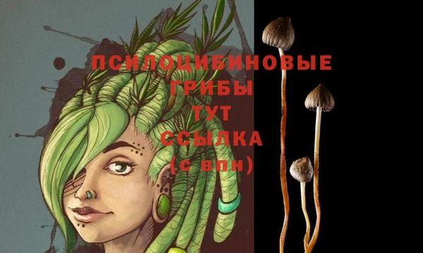 MDMA Premium VHQ Богданович