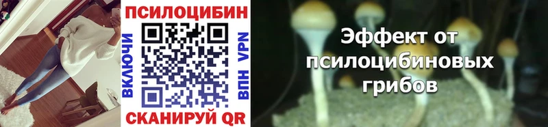 как найти закладки  hydra зеркало  Псилоцибиновые грибы Cubensis  Надым 