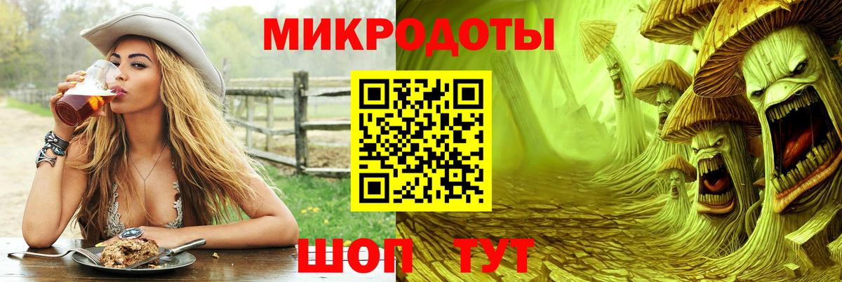 Псилоцибиновые грибы Psilocybe  Вход с VPN  Надым 